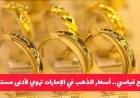 صادم للمتابعين انخفاض غير متوقع لأسعار الذهب في الإمارات اليوم ووصول جرام 21 لأقل قيمة