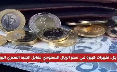 الريال السعودي يشهد قفزات في سعره مقابل الجنيه المصري اليوم في البنوك والسوق السوداء