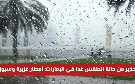 توقعات الطقس في الإمارات: أمطار غزيرة وسيول وضباب تهدد هذه المناطق غداً