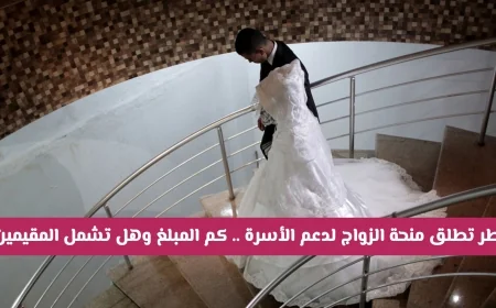 تعرف على تفاصيل منحة زواج الأسرة في قطر: المبلغ وهل تشمل المقيمين