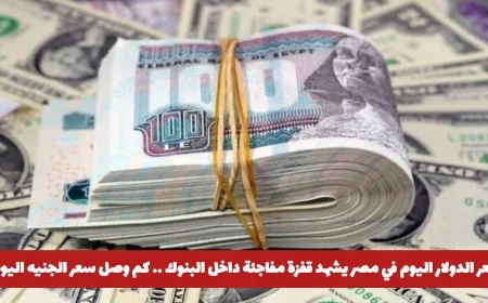 قفزة مفاجئة في سعر الدولار اليوم بالبنوك المصرية تعرف على أحدث سعر للجنيه