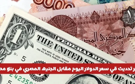 التحديث الأخير لأسعار الدولار اليوم أمام الجنيه المصري في البنوك المصرية