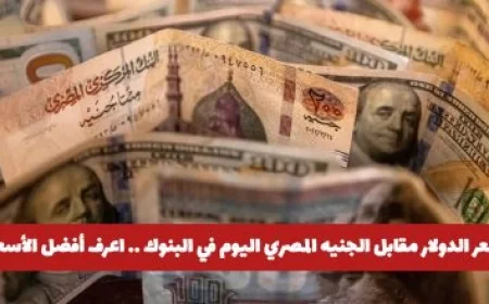 الخليج للخدمات: بوابتك الشاملة لكل ما تحتاجه في عالم الأعمال