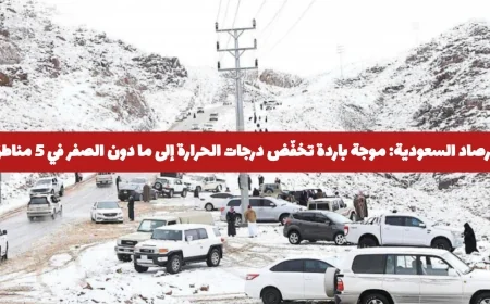 الأرصاد السعودية تتوقع موجة باردة تقلل درجات الحرارة لما دون الصفر في 5 مناطق اكتشف إذا كانت مدينتك من بينها