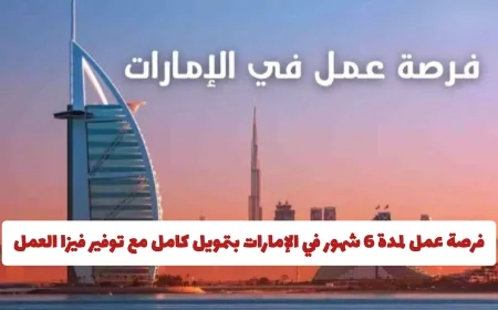 احصل على فرصة عمل ممولة بالكامل لمدة 6 أشهر في الإمارات مع فيزا عمل وحوافز مجزية تعرف على كيفية التقديم