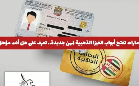 الإمارات توسع قائمة المهن المؤهلة للحصول على الفيزا الذهبية اكتشف التفاصيل وهل أنت من المستحقين