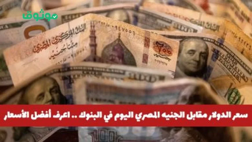 الخليج للخدمات: بوابتك الشاملة لكل ما تحتاجه في عالم الأعمال