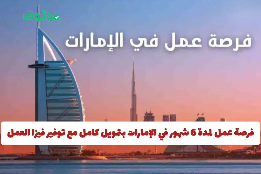 احصل على فرصة عمل ممولة بالكامل لمدة 6 أشهر في الإمارات مع فيزا عمل وحوافز مجزية تعرف على كيفية التقديم