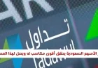 مؤشر تاسي السعودي يسجل أقوى ارتفاع ويصل إلى مستوى قياسي