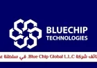 فرص عمل في شركة Blue Chip Global L.L.C. في عمان برواتب تنافسية وتطوير مهني مميز