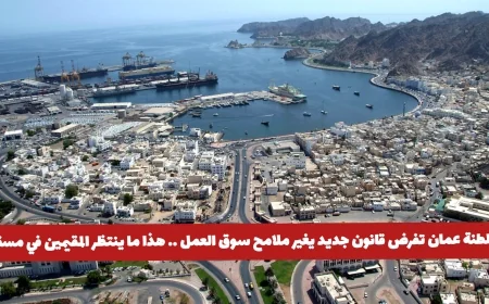 قانون جديد يغير سوق العمل في عمان: ماذا يعني ذلك للمقيمين في مسقط؟
