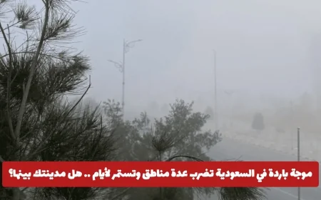 موجة البرد في السعودية: تعرف على المناطق المتأثرة مع بداية يناير وهل مدينتك ضمن القائمة