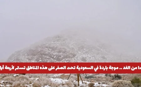 موجة باردة تضرب السعودية غدا ودرجات الحرارة تحت الصفر في هذه المناطق لمدة أربعة أيام