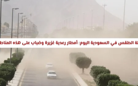 توقعات الطقس في السعودية: أمطار رعدية غزيرة وضباب كثيف يؤثر على الرؤية في هذه المناطق اليوم