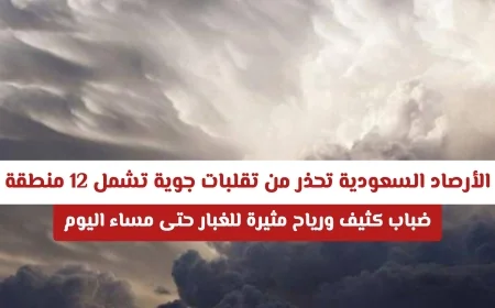 الأرصاد السعودية: تحذيرات من تقلبات جوية تشمل 12 منطقة مع ضباب كثيف ورياح مثيرة للغبار حتى مساء اليوم