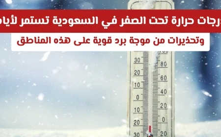 موجة برد قوية تضرب السعودية مع استمرار درجات الحرارة تحت الصفر لأيام وتحذيرات للمناطق المتضررة