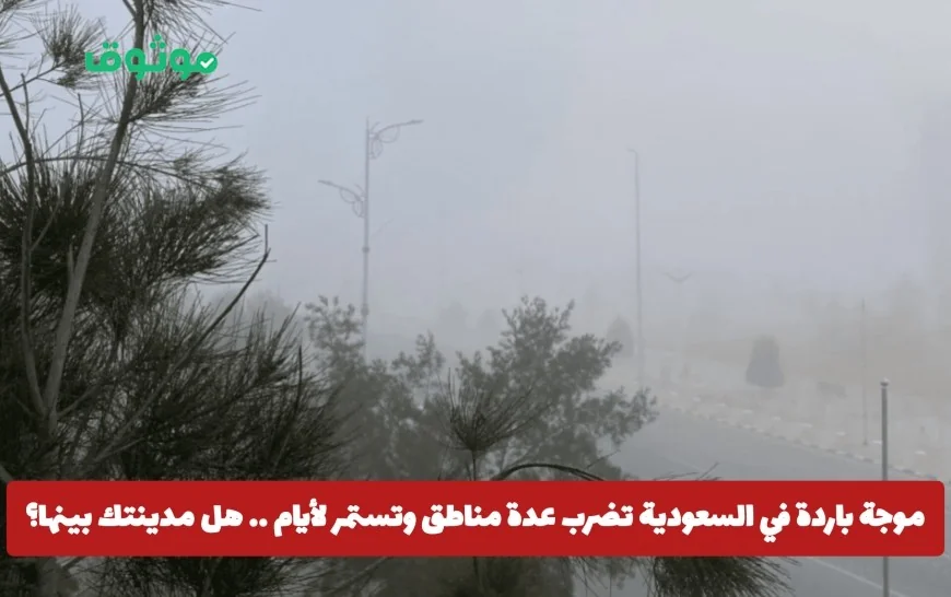 موجة البرد في السعودية: تعرف على المناطق المتأثرة مع بداية يناير وهل مدينتك ضمن القائمة